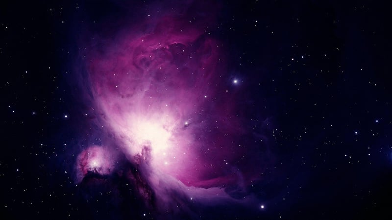 Stellar Organization